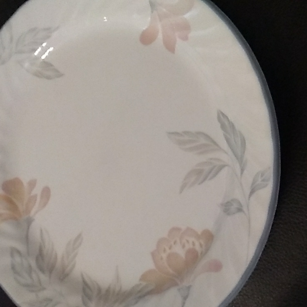 Corelle Pink Trio 2 Dinner Plates